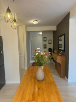 3A Apartment